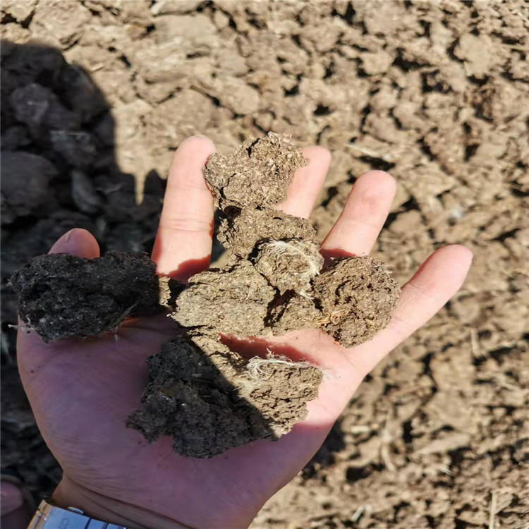 風(fēng)干雞糞廠家供應(yīng)_報(bào)價(jià)_廠家_生產(chǎn)供應(yīng)【石家莊苗愛(ài)發(fā)生態(tài)農(nóng)業(yè)科技有限公司】