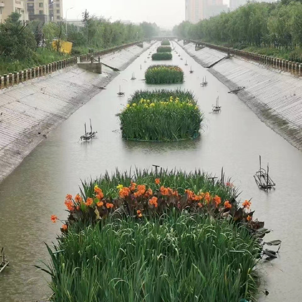 河北潛流濕地供應(yīng)商_生態(tài)潛流濕地價(jià)格_潛流式人工濕地【河北雄安詠蓮園林綠化工程有限公司】