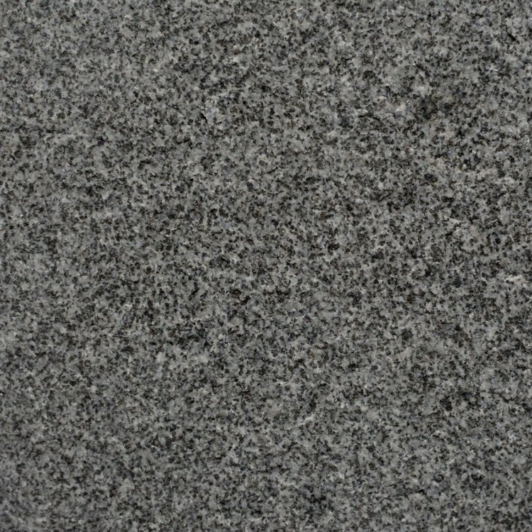 芝麻黑報(bào)價(jià)  芝麻黑多少錢