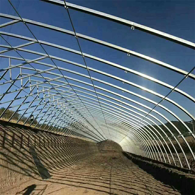 休閑簡(jiǎn)易智能日光溫室po膜覆蓋昌越溫室