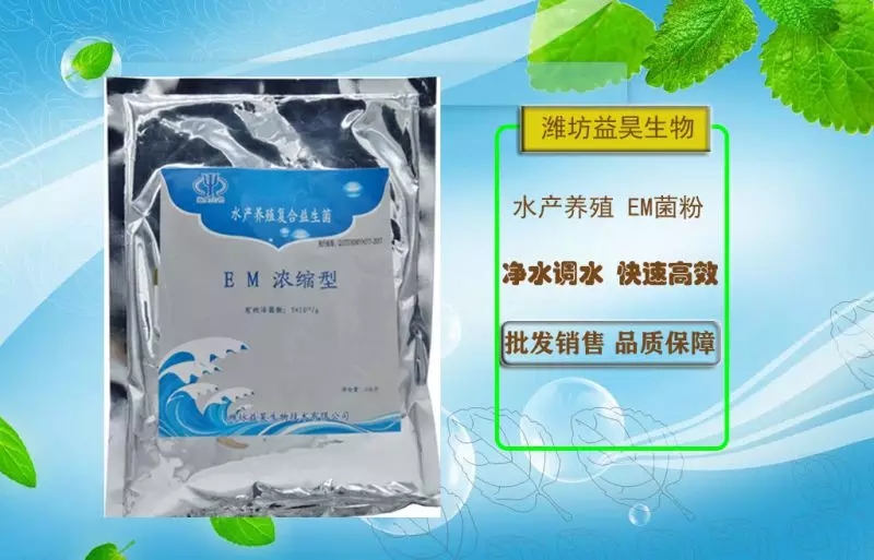 濃縮EM菌水產(chǎn)養(yǎng)殖改善水質(zhì)促進(jìn)生長