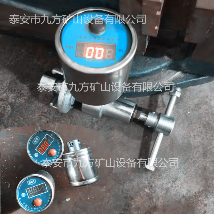 鄭州DZ-CL-單體支柱測力計