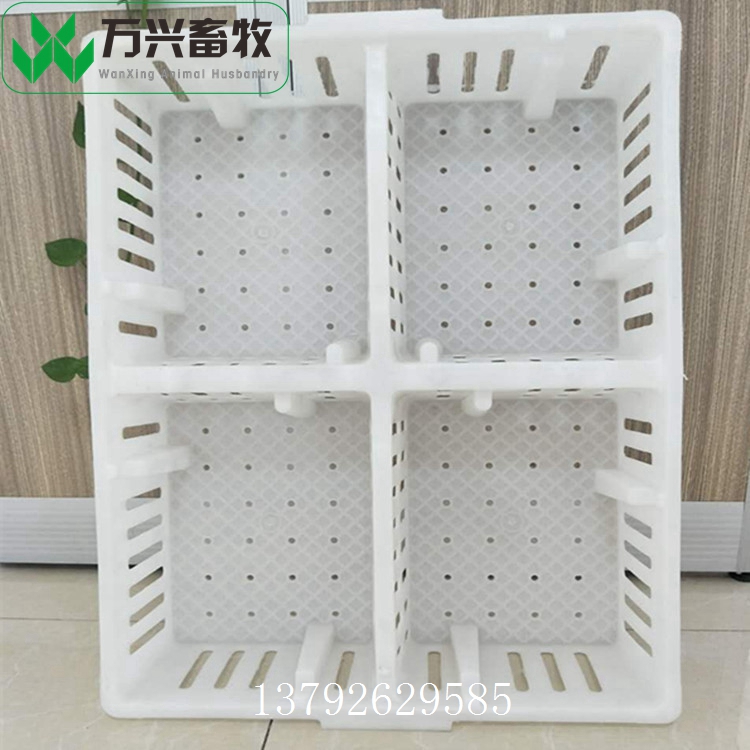 雞苗周轉筐 雛雞運輸筐 雞苗周轉箱