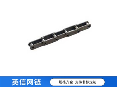 雙排鏈條定制廠家-雙排鏈條批發(fā)-雙排鏈條工廠-雙排鏈條供應商