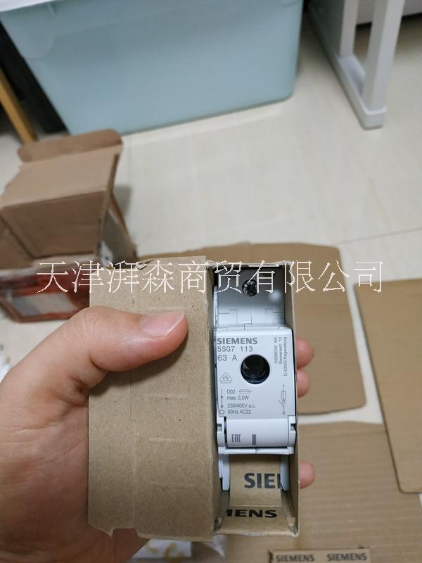 SIEMENS 5SG7113 隔離開關(guān)