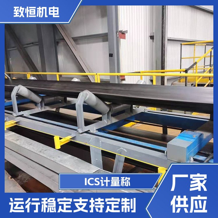 ICS計量稱 平穩(wěn)下料 支持定制 結(jié)構(gòu)合理 維護(hù)方便