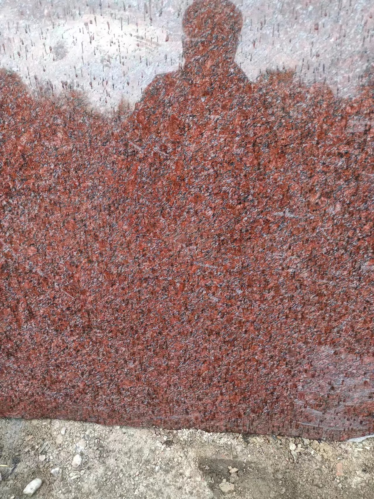 貴妃紅光面價(jià)格 貴妃紅光面多少錢