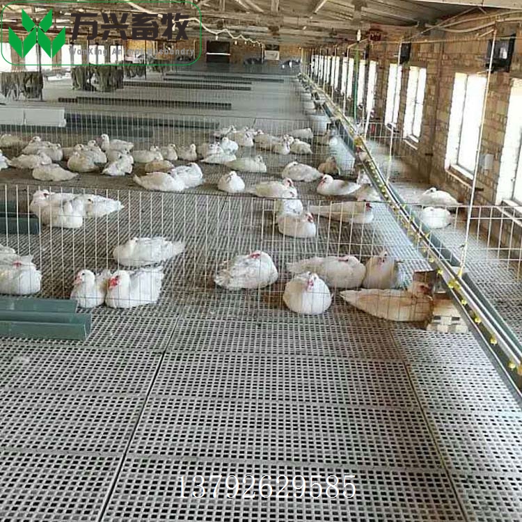 供應(yīng)萬興畜牧雞鴨鵝舍鴨用漏糞地板 規(guī)格1200×500×40mm