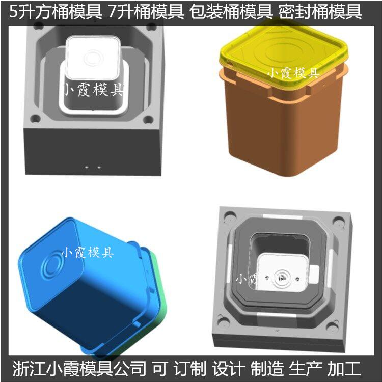供應(yīng) 涂料桶注塑模具 生產(chǎn)制造