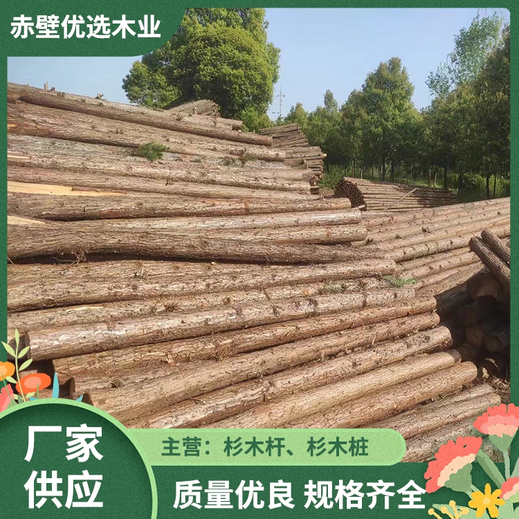 2米杉木杆 小头杉木杆 建筑桥梁打桩木 市政园林绿化支撑架