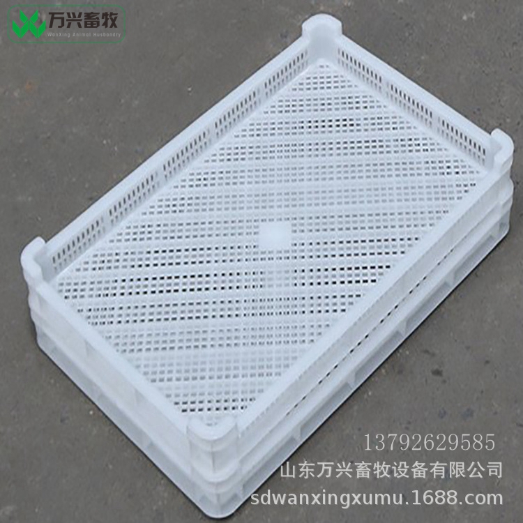 海鮮單凍盤 冷庫單凍盤 冷凍塑料盤