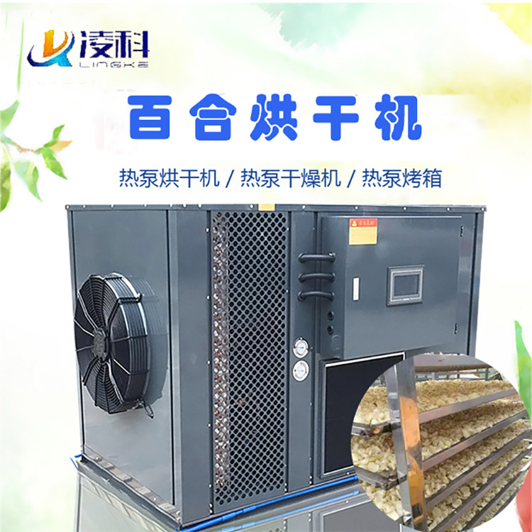 百合烘干機(jī) 蘭州百合烘干房設(shè)備供應(yīng)
