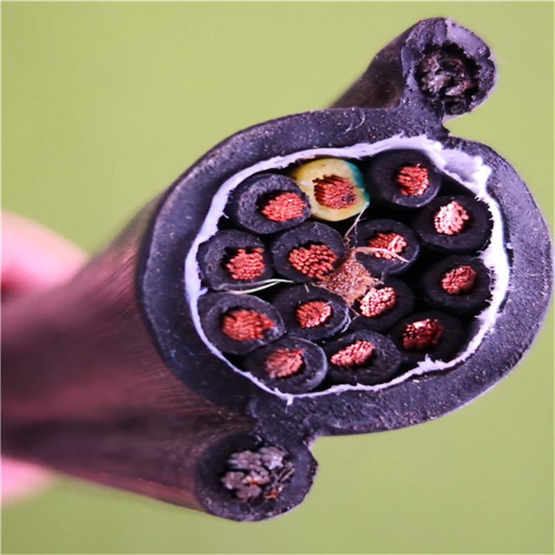 供應(yīng)葫蘆電纜 自承式鋼索電纜 葫蘆電纜 行車起重機電纜 RVV1G RVV2G