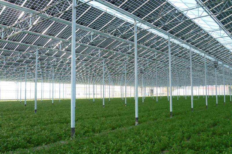 承建各種農(nóng)光互補太陽能發(fā)電站價格-質量保障