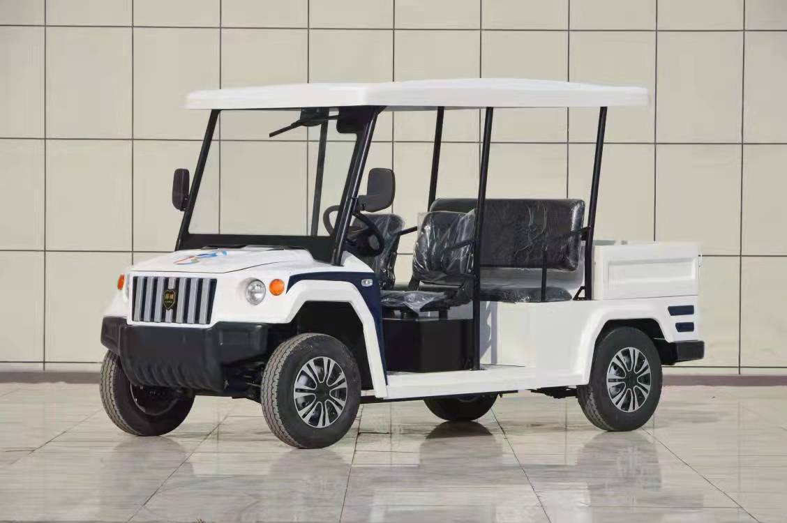 4-6座，電動*，電瓶*， 電瓶安保*廠家制造商