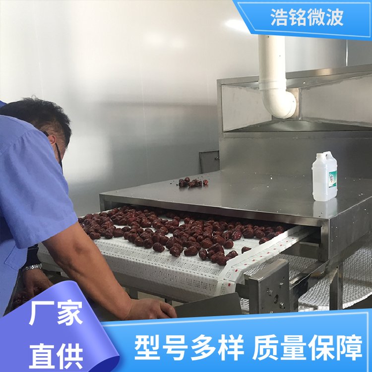 食品低溫真空干燥微波設備 微波真空干燥機設備 無需加熱