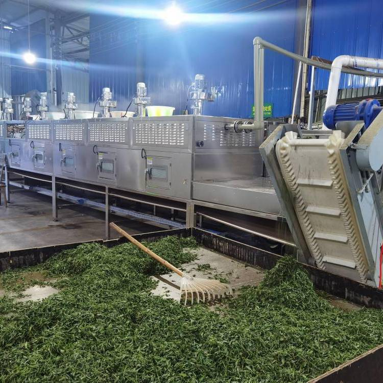 茶殺青機 綠茶殺青設(shè)備 500型 微波光波殺青直條白茶通用