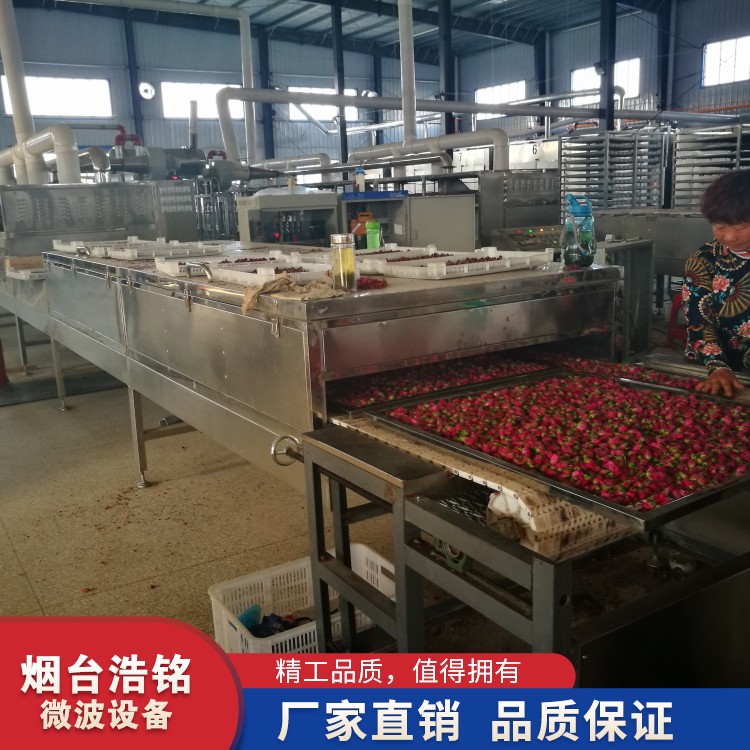 山東微波干燥設(shè)備廠家 微波烘干脫水設(shè)備供應(yīng)商 辣椒浸膏*機