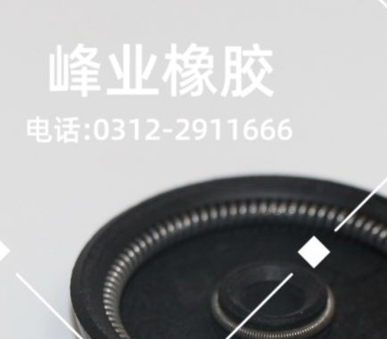 掛簧油封橡膠密封可定制